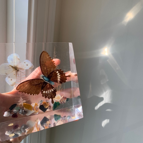 Vintage Lucite Pressed Butterfly Decor - Picture 11 of 11